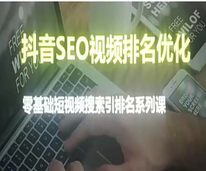 抖音seo视频排名优化-淘淘网