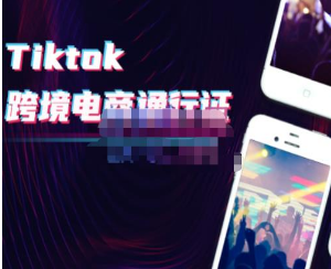  亿启出航·Tiktok跨境电商通行证2.0