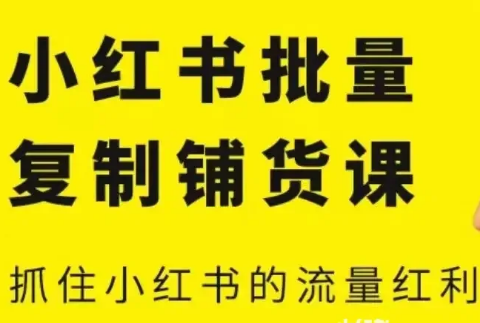 张宾·小红书批量复制铺货课（更新2023年1月），抓住小红书的流量红利-淘淘网